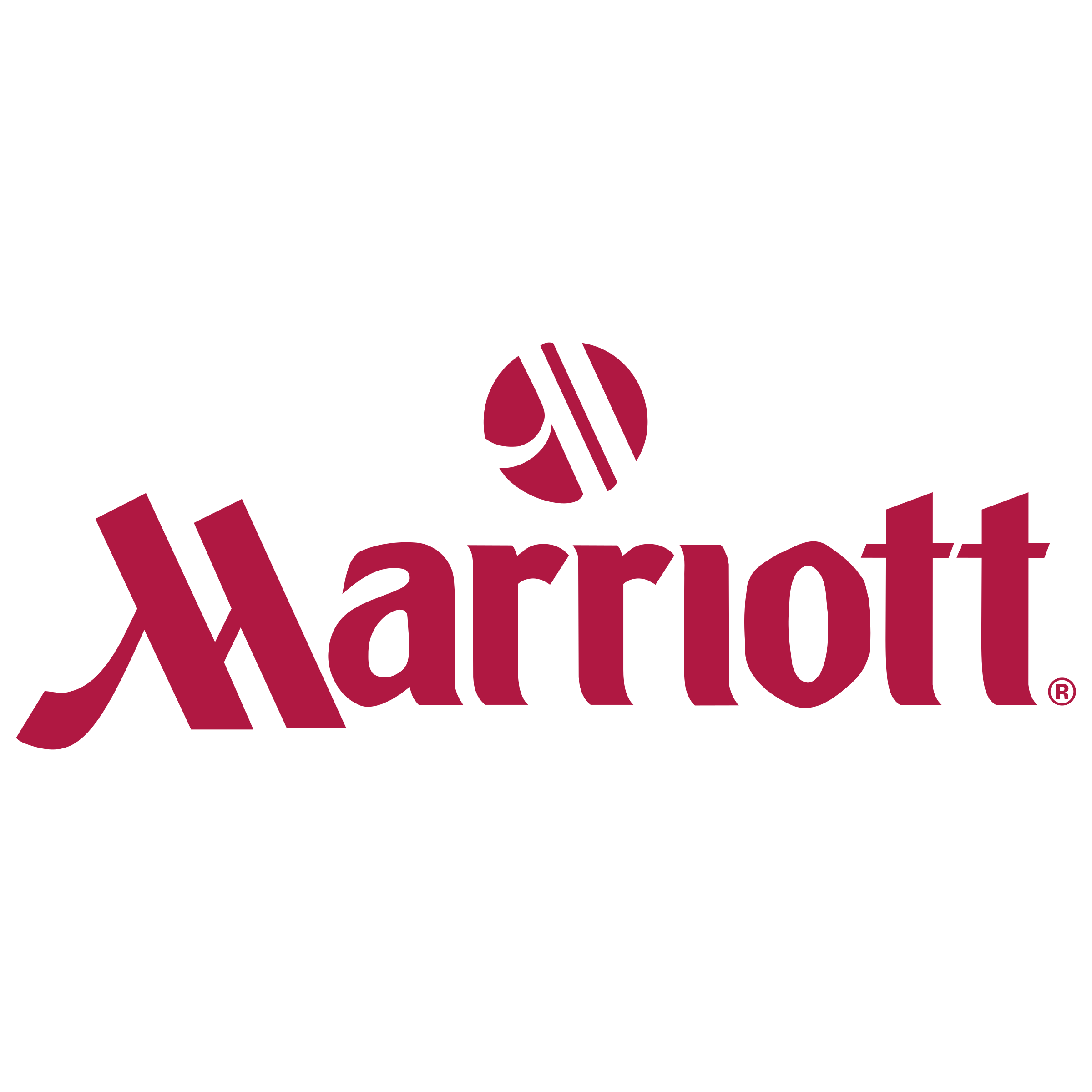 Partner Logo